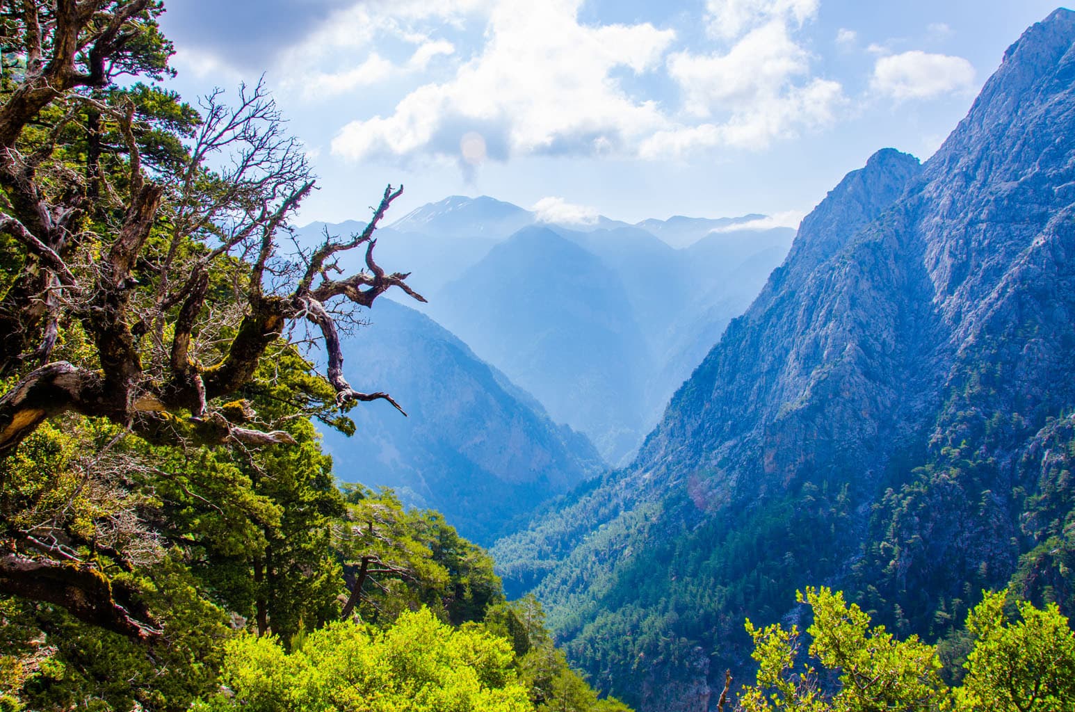 Samaria Gorge transfer in Crete